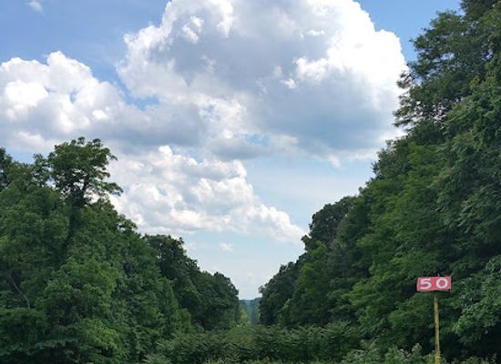 indiana/the-hoosier-national-forest/attraction/lick-creek-trailhead
