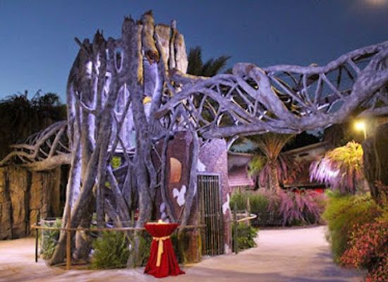 florida/jacksonville/attraction/jacksonville-zoo-and-gardens