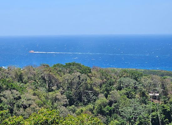 honduras/bay-islands/attraction/south-shore-canopy-zipline