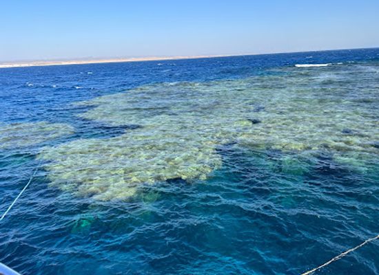 egypt/red-sea-coast/attraction/abu-dabbab-iii