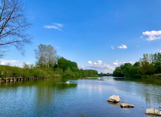 slovenia/drava/attraction/stara-struga-reke-drave-obmocje-duplek