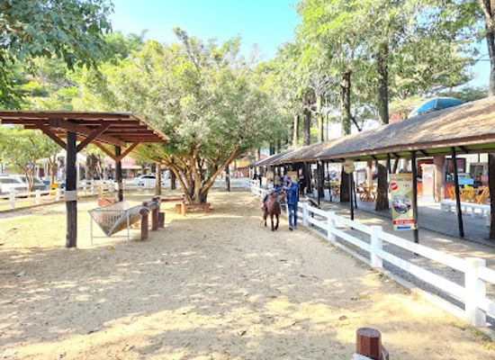 thailand/khao-yai/attraction/farm-chokchai