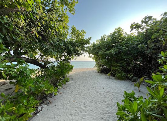 maldives/thoddoo/attraction/i-love-thoddoo-darkgreen-adventures