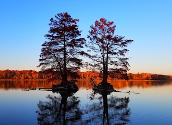 missouri/northwest-missouri/attraction/august-a-busch-memorial-conservation-area