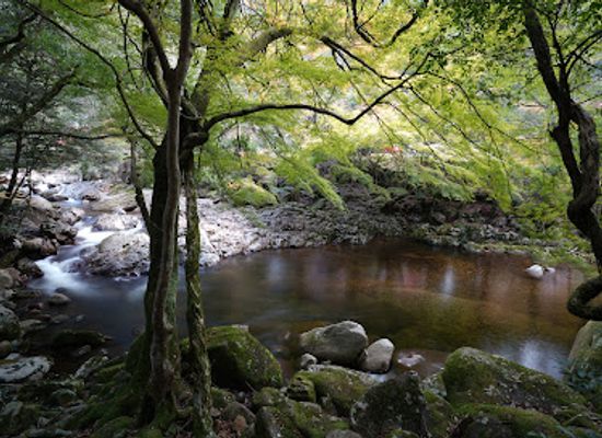 japan/shikoku/attraction/nametoko-gorge