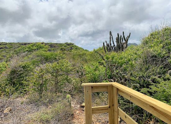curacao/christoffel-national-park/attraction/viewpoint-north