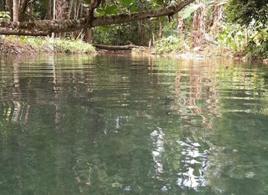 jamaica/north-coast/attraction/dennis-spring