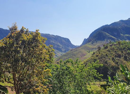 madagascar/amoron-i-mania/attraction/pays-zafimaniry