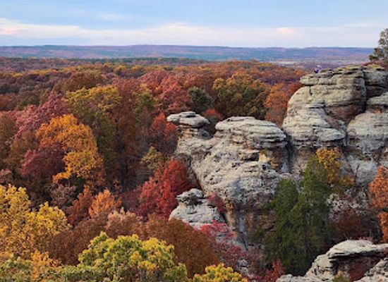 illinois/southern-illinois/attraction/shawnee-national-forest