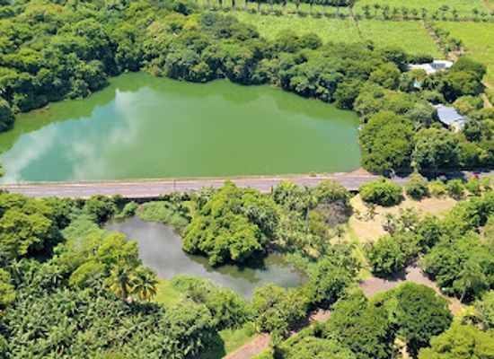 mauritius/pamplemousses/attraction/solitude-lake