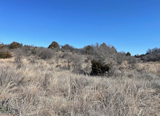 oklahoma/northwestern-oklahoma/attraction/sandhills-wildlife-management-area