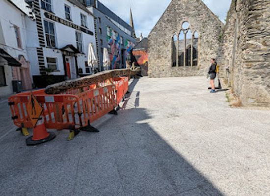 ireland/county-waterford/attraction/the-viking-triangle