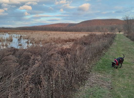new-jersey/appalachian-trail/attraction/wallkill-river-national-wildlife-refuge