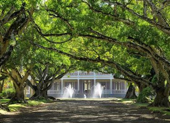 mauritius/grand-baie/attraction/chateau-de-labourdonnais