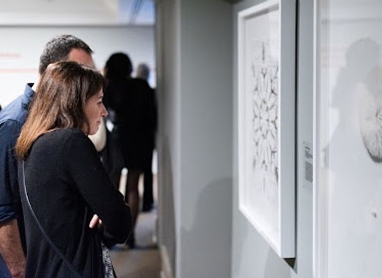 canada/atlantic-canada/attraction/art-gallery-of-nova-scotia