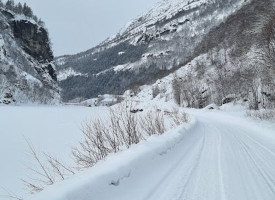 norway/hardangervidda-national-park/attraction/skjeggedalsvegen