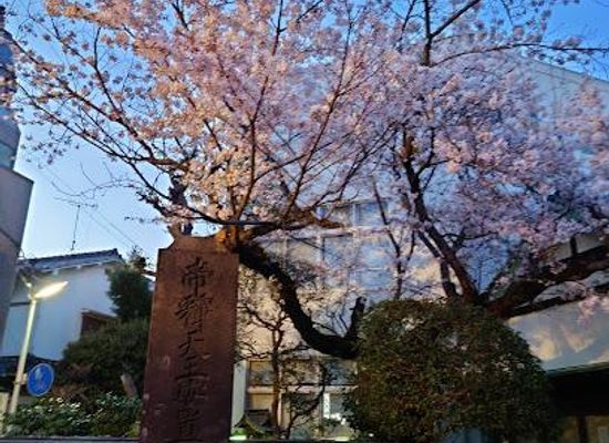 japan/tokyo/attraction/shibamata