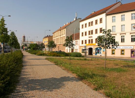 czechia/plzen/attraction/sady-petatricatniku