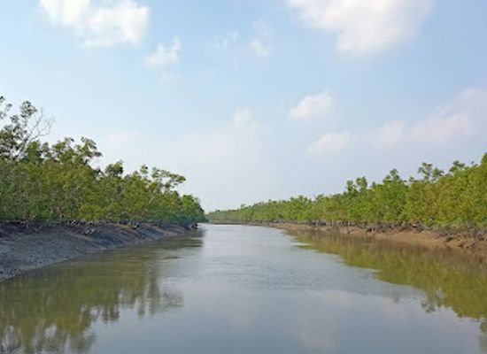 bangladesh/sundarbans/attraction/jhorkhali-theke-dobaki-watch-tower