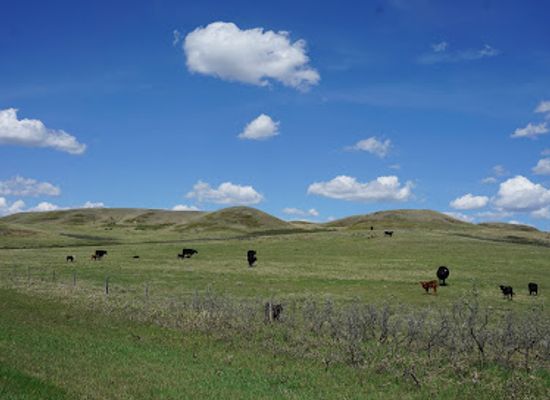 canada/prairies/attraction/grasslands-national-park-east-block