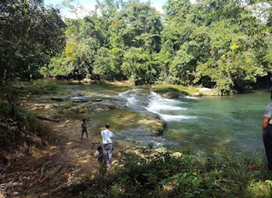 belize/vaca-plateau/attraction/belize-spicefarm-and-botanical-gardens