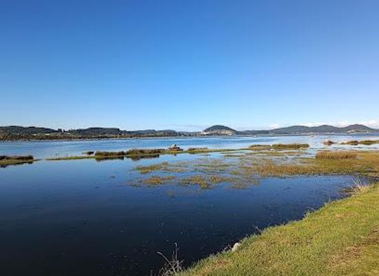 spain/cantabria/attraction/parque-natural-de-las-marismas-de-santona-victoria-y-joyel