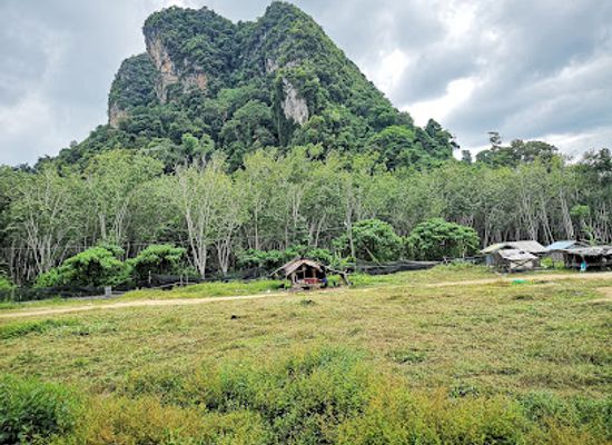 thailand/krabi/ao-nang/attraction/aonang-elephant-park