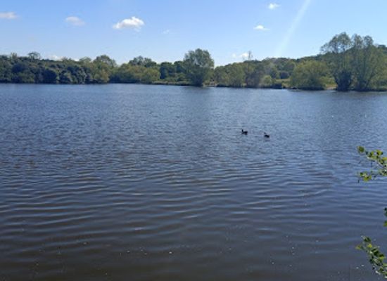 united-kingdom/middlesex/attraction/hainault-forest