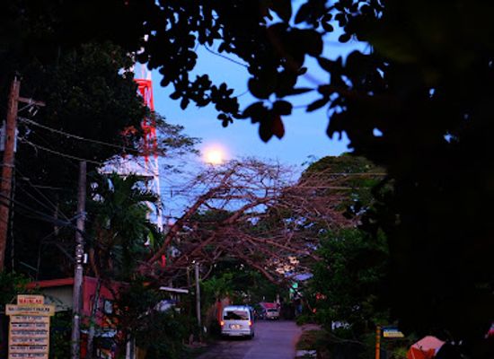 philippines/cebu-city/attraction/university-of-san-carlos-museum