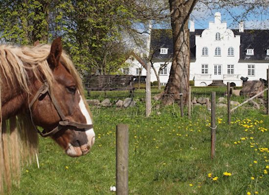 denmark/north-zealand/attraction/flynderupgardmuseet