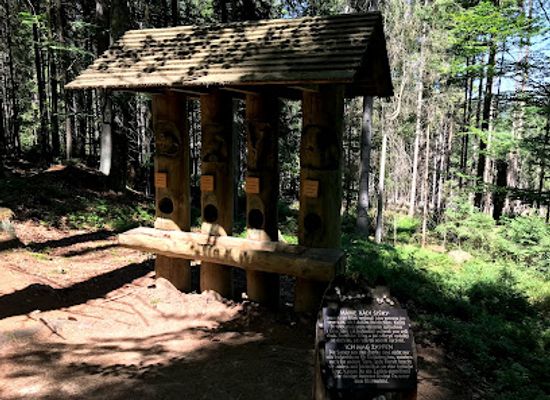 czechia/sumava-national-park/attraction/areal-lesnich-her-stozec-sovi-stezka