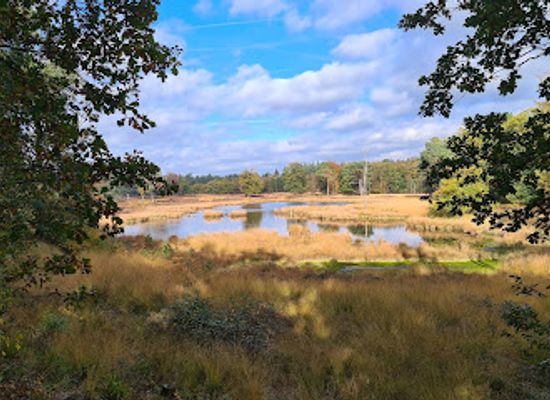 netherlands/achterhoek/attraction/henschoten