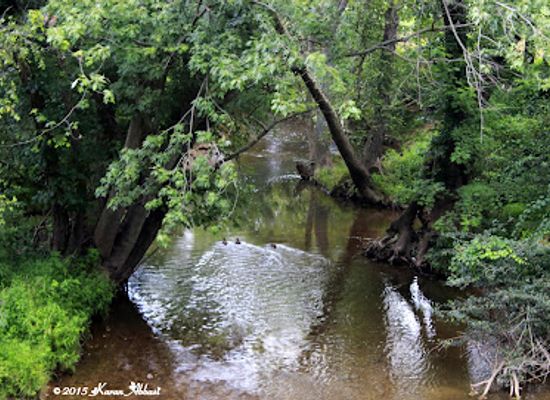 maryland/cunningham-falls-state-park/attraction/walkersville-southern-railroad