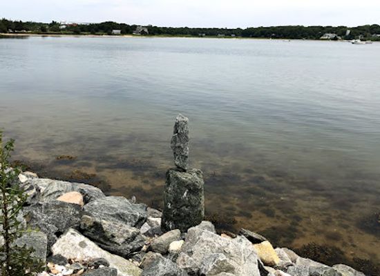 massachusetts/martha-s-vineyard/attraction/hoft-farm-preserve