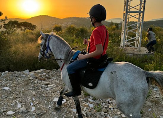 lebanon/chouf/attraction/cedars-trail-riding-horse-riding-trek
