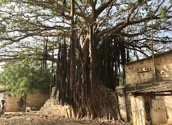 the-gambia/kantora/attraction/slave-house