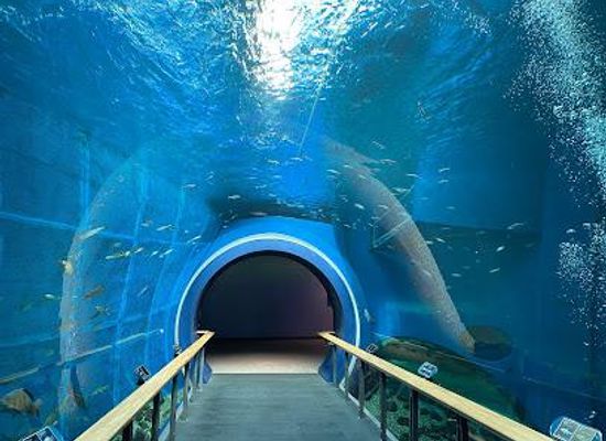 japan/omi/attraction/lake-biwa-museum
