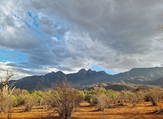 kenya/northern-frontier-district/attraction/namunyak-wildlife-conservancy