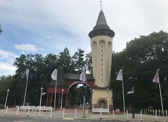 serbia/backa/attraction/entrance-avenue-to-park-palic