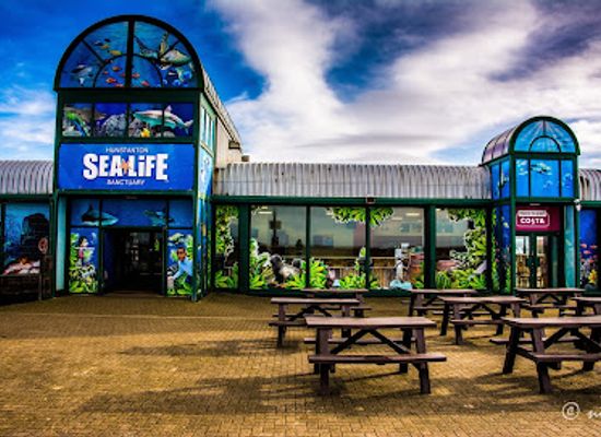 united-kingdom/the-broads/attraction/sea-life-hunstanton