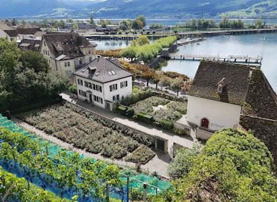 switzerland/zurich/attraction/rosengarten-schlossberg-rapperswil