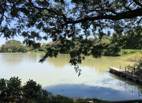 ethiopia/wollo/attraction/tana-view