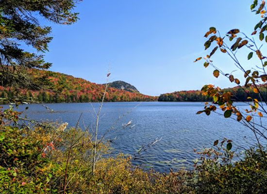 vermont/champlain-valley/attraction/groton-state-forest
