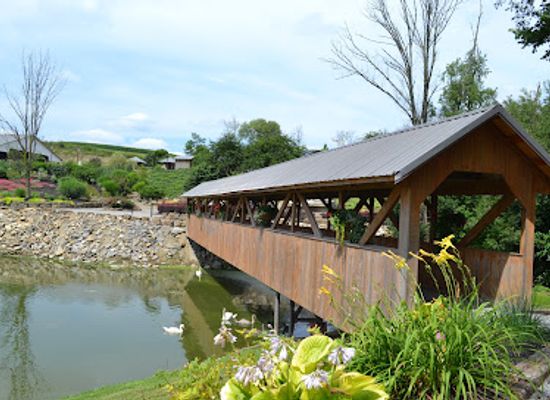 ohio/dundee-falls/attraction/the-farm-at-walnut-creek