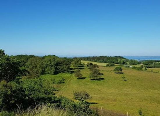 denmark/mols-bjerge-national-park/attraction/egsmark-plantage