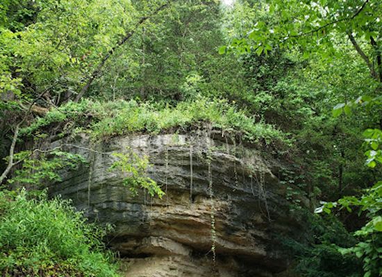 arkansas/ozark-mountains/attraction/eureka-springs-downtown