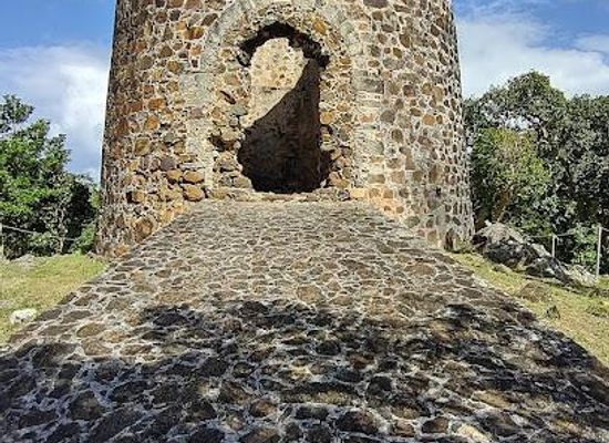 british-virgin-islands/anegada/attraction/mount-healthy-national-park