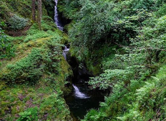 ireland/leinster/attraction/poulanass-waterfall