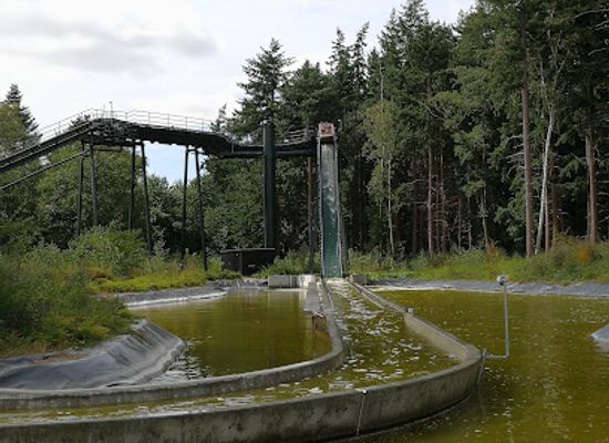 denmark/lolland/attraction/limpopoland-knuthenborg