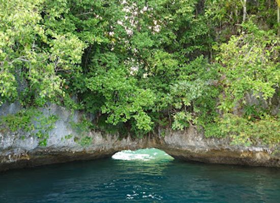 palau/aimeliik/attraction/soft-coral-arch